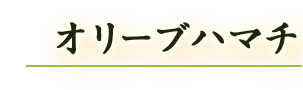 オリーブハマチ